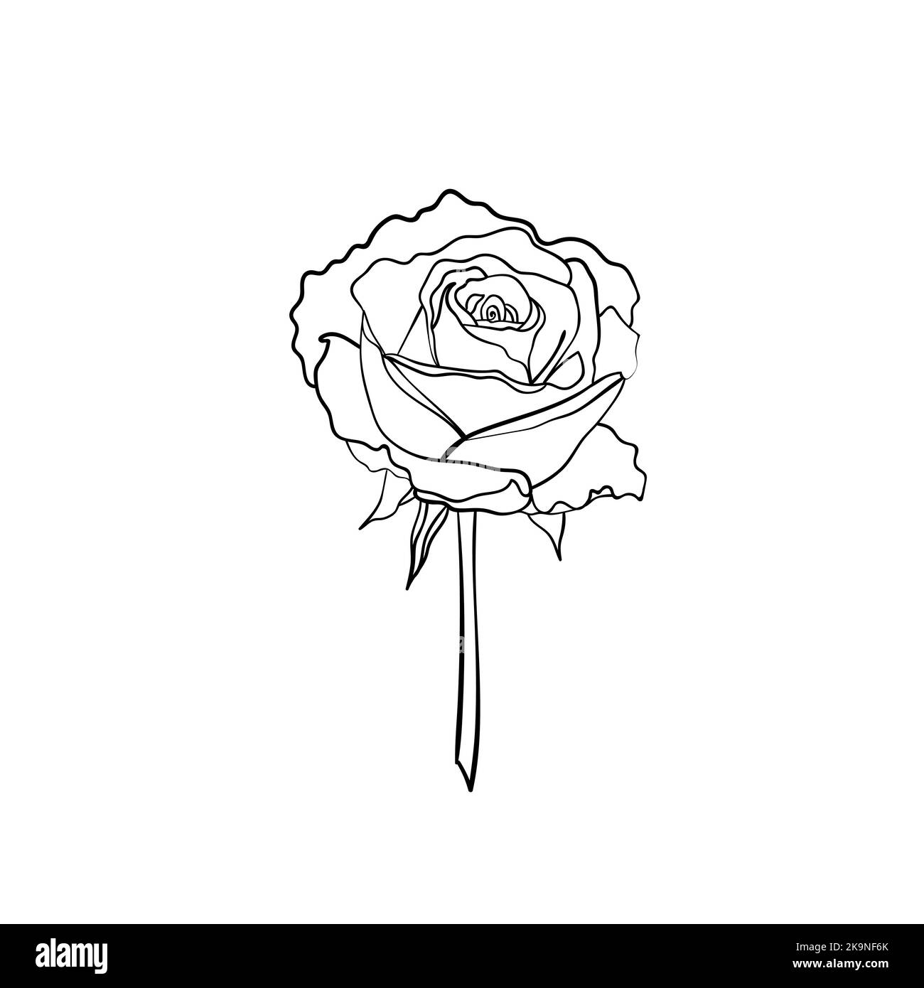 Schönes Rosa und Rot in einem Weidenkorb. Stock Vektor