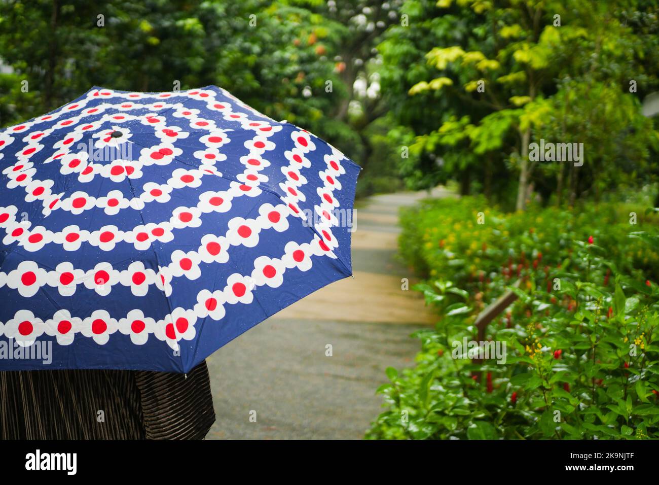 Frauen unter Regenschirm im Regen Stockfoto