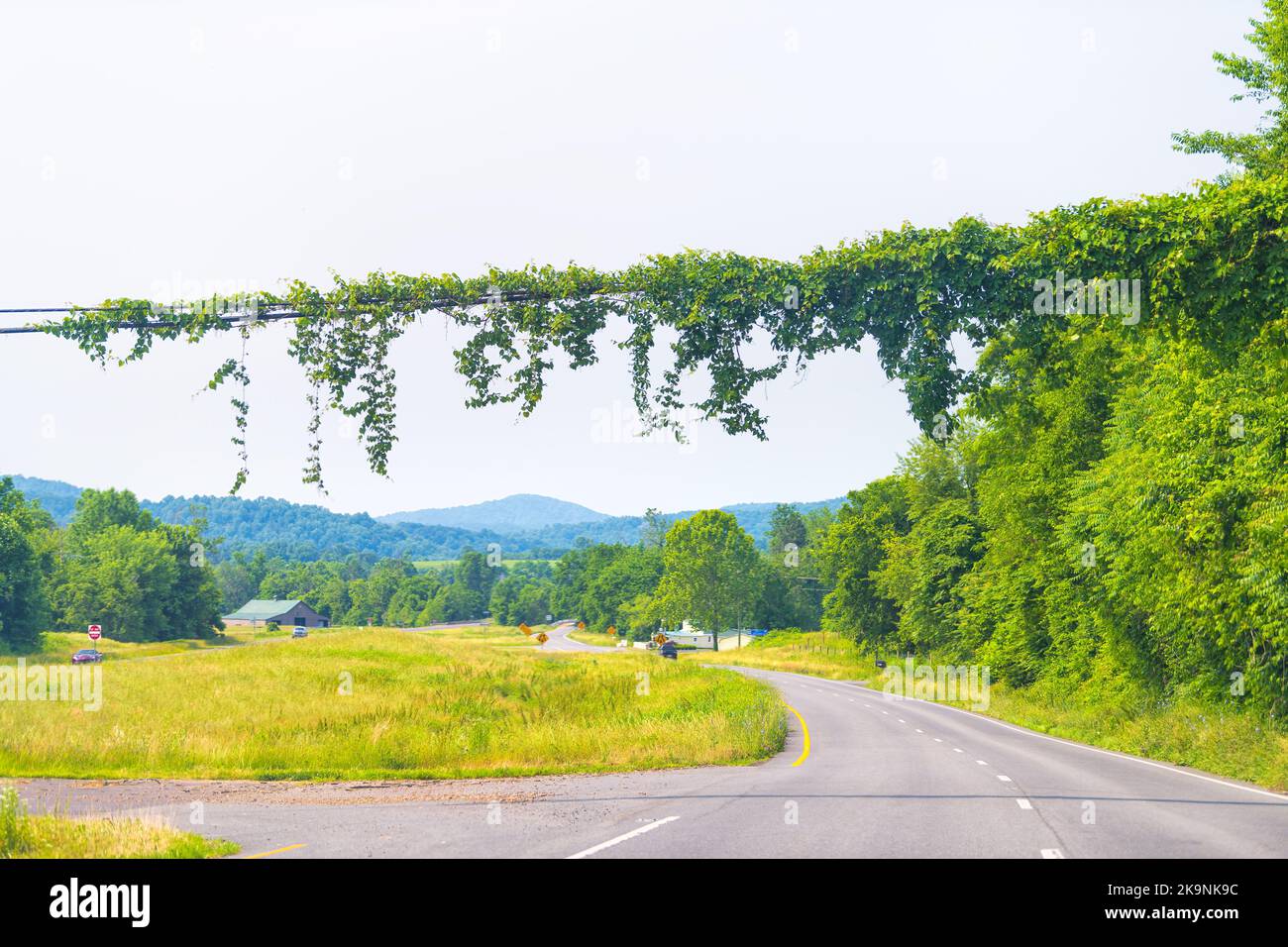 Huntly, Virginia bei Rappahannock County Highway Route 522 Straße durch sanfte Hügel Land ländlichen Hintergrund in Appalachen Berge Stockfoto