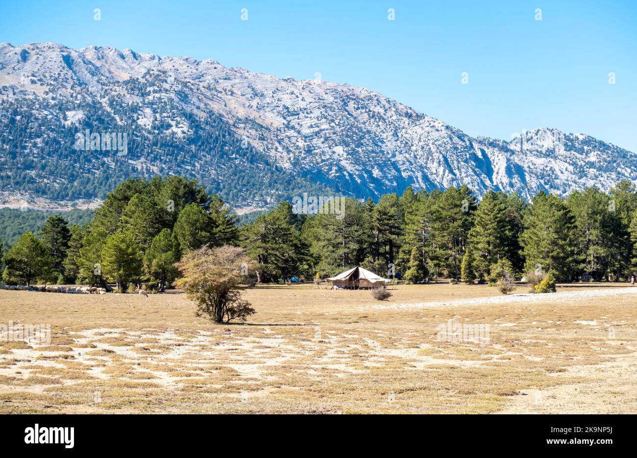 Trockene Herbstwiesen im Taurusgebirge, Provinz Antalya der Türkei Stockfoto