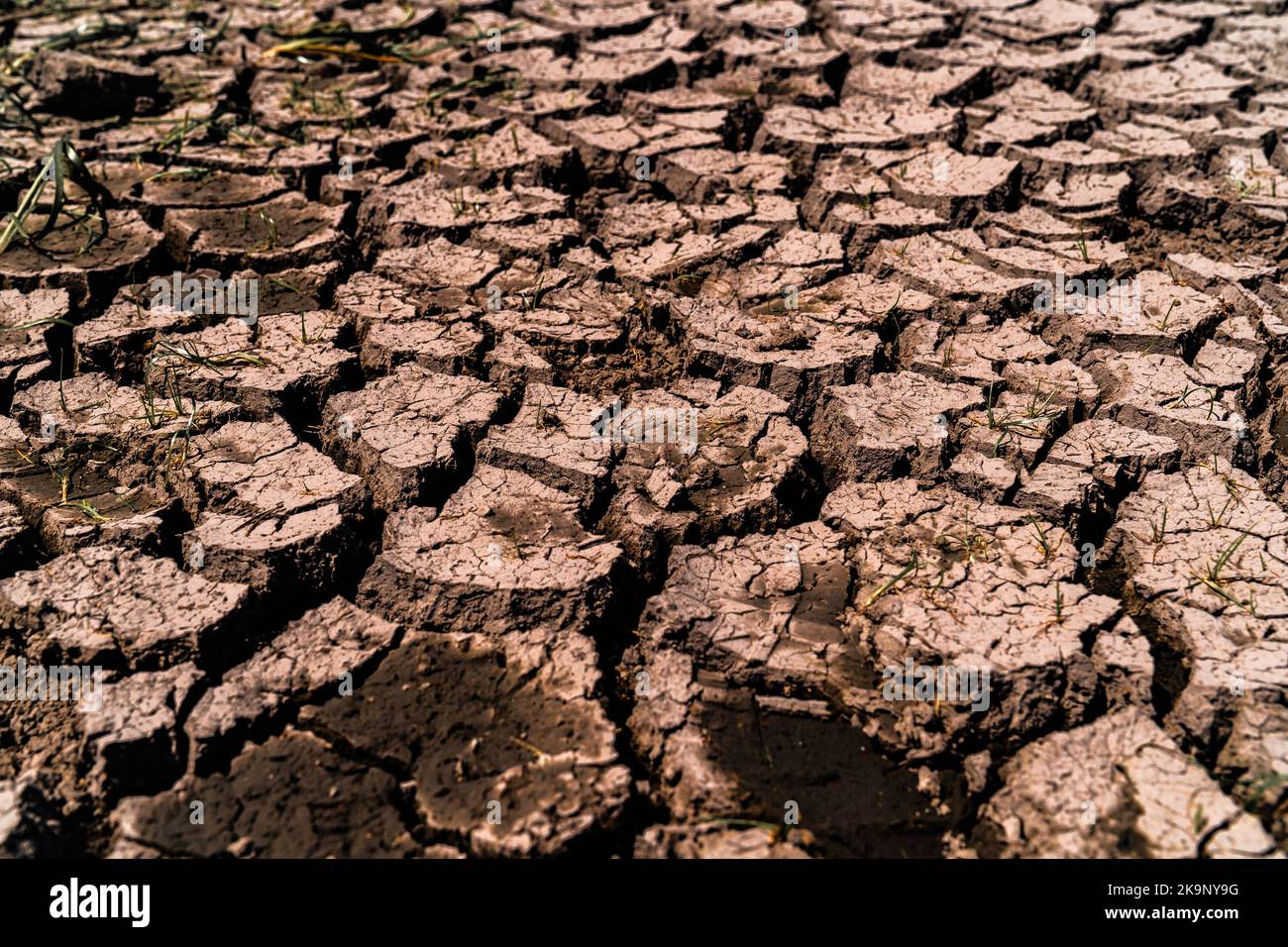 Trockenland, das unter Dürre leidet. Auswirkungen des Klimawandels wie Wüstenbildung und Dürren. Konzept der globalen Erwärmung und des Treibhauseffekts. Wasser Stockfoto