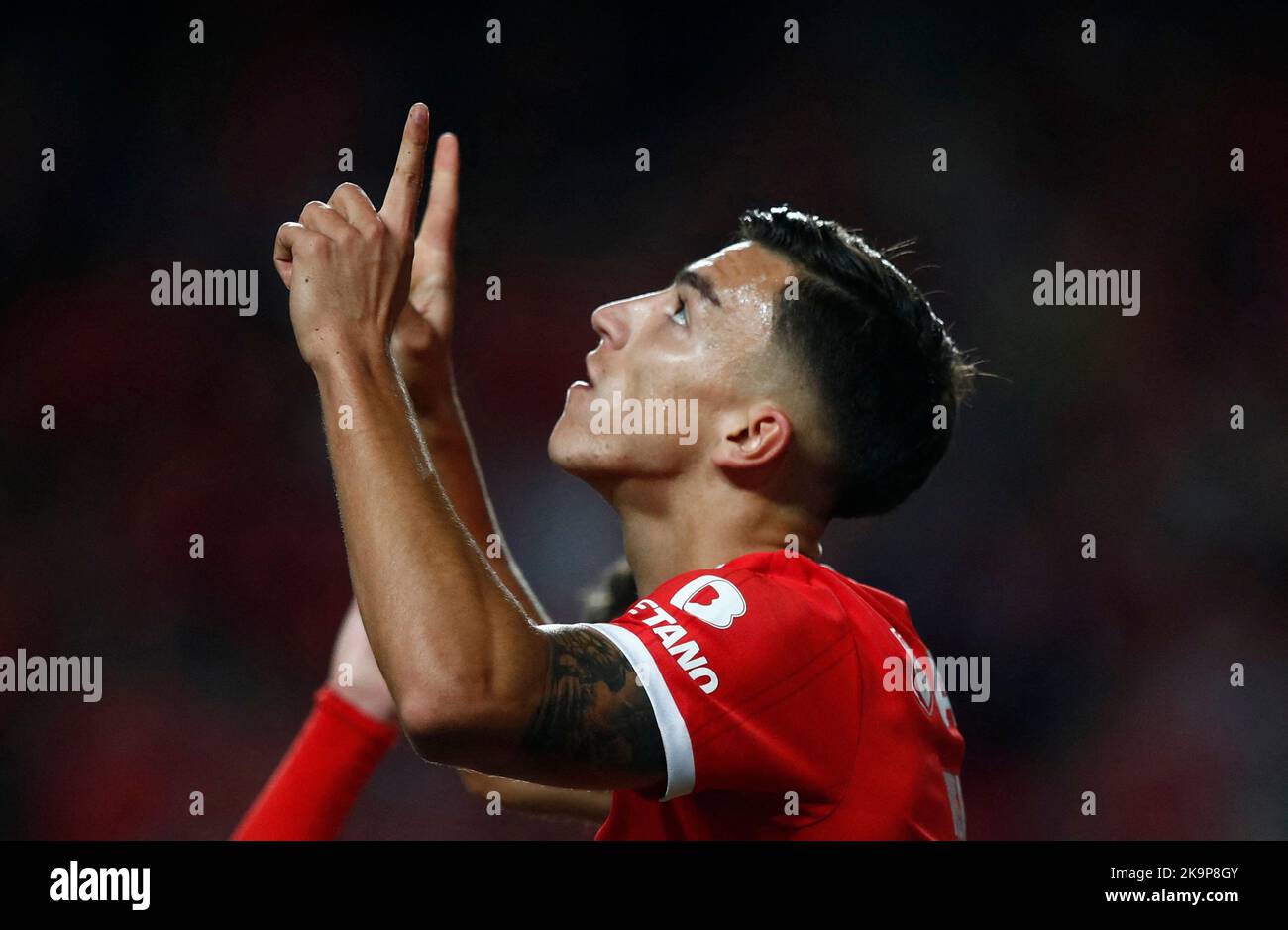 Fußball Primeira Liga Benfica gegen GD Chaves Estadio da Luz, Lissabon, Portugal 29 Fußball Primeira Liga Benfica gegen GD Chaves Estadio da Luz, Lissabon, Portugal 29