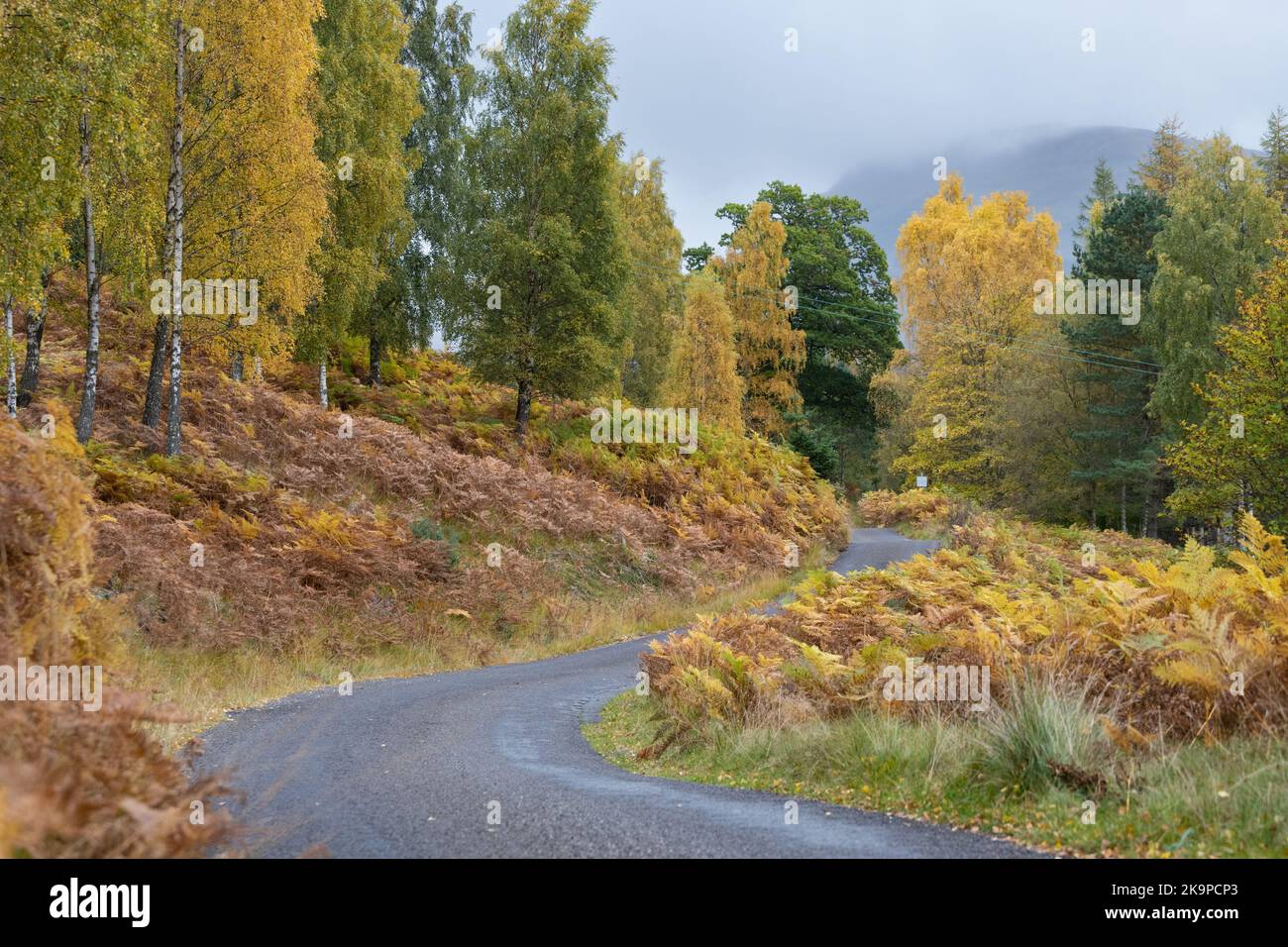 Glen Lyon im Herbst - Breadalbane, Perthshire, Schottland, Großbritannien Stockfoto