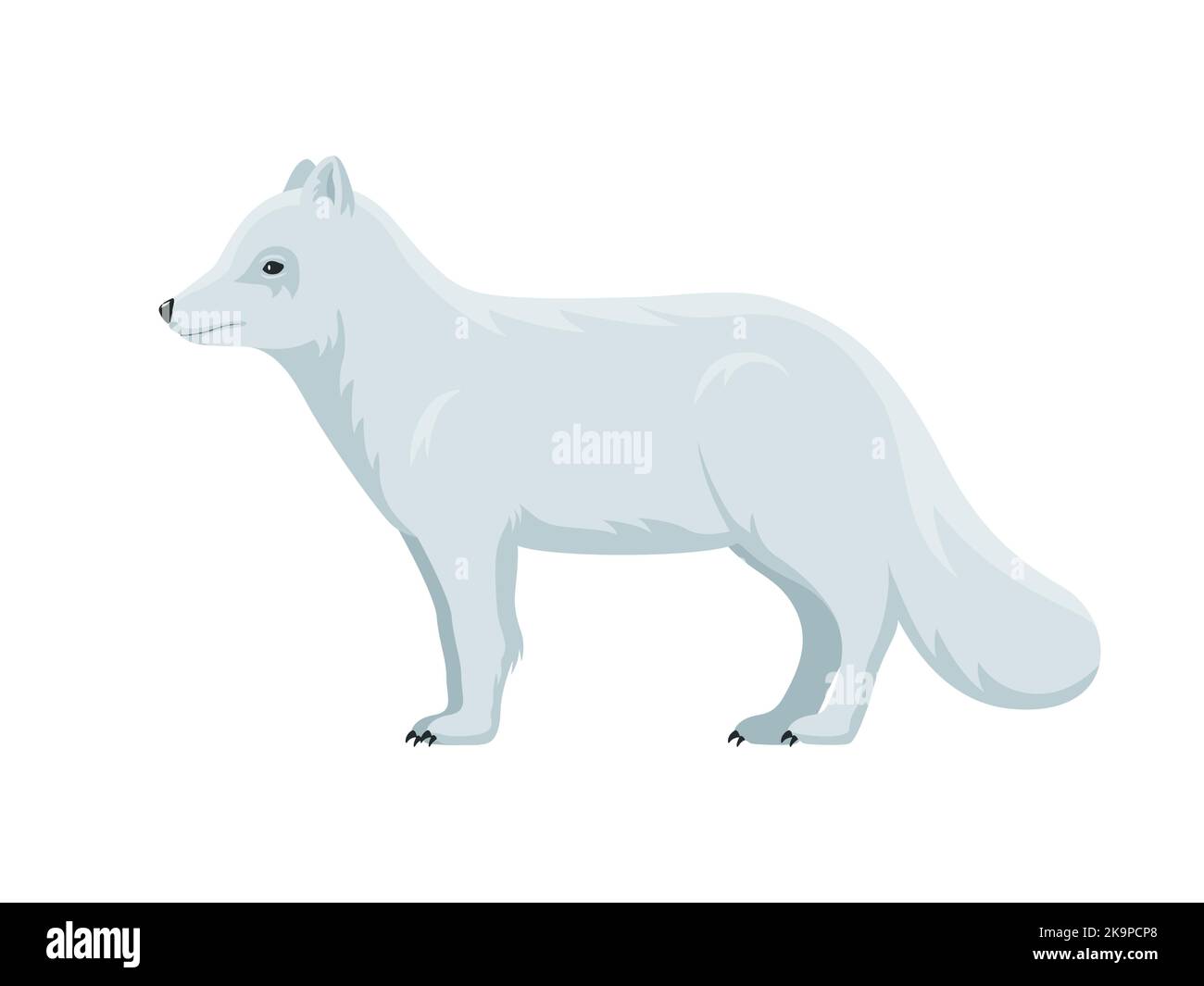 Arktischer Fuchs. Vektor-Illustration eines flauschigen Polarfuchses, der auf Weiß isoliert ist. Flaches Design, Seitenansicht. Stock Vektor