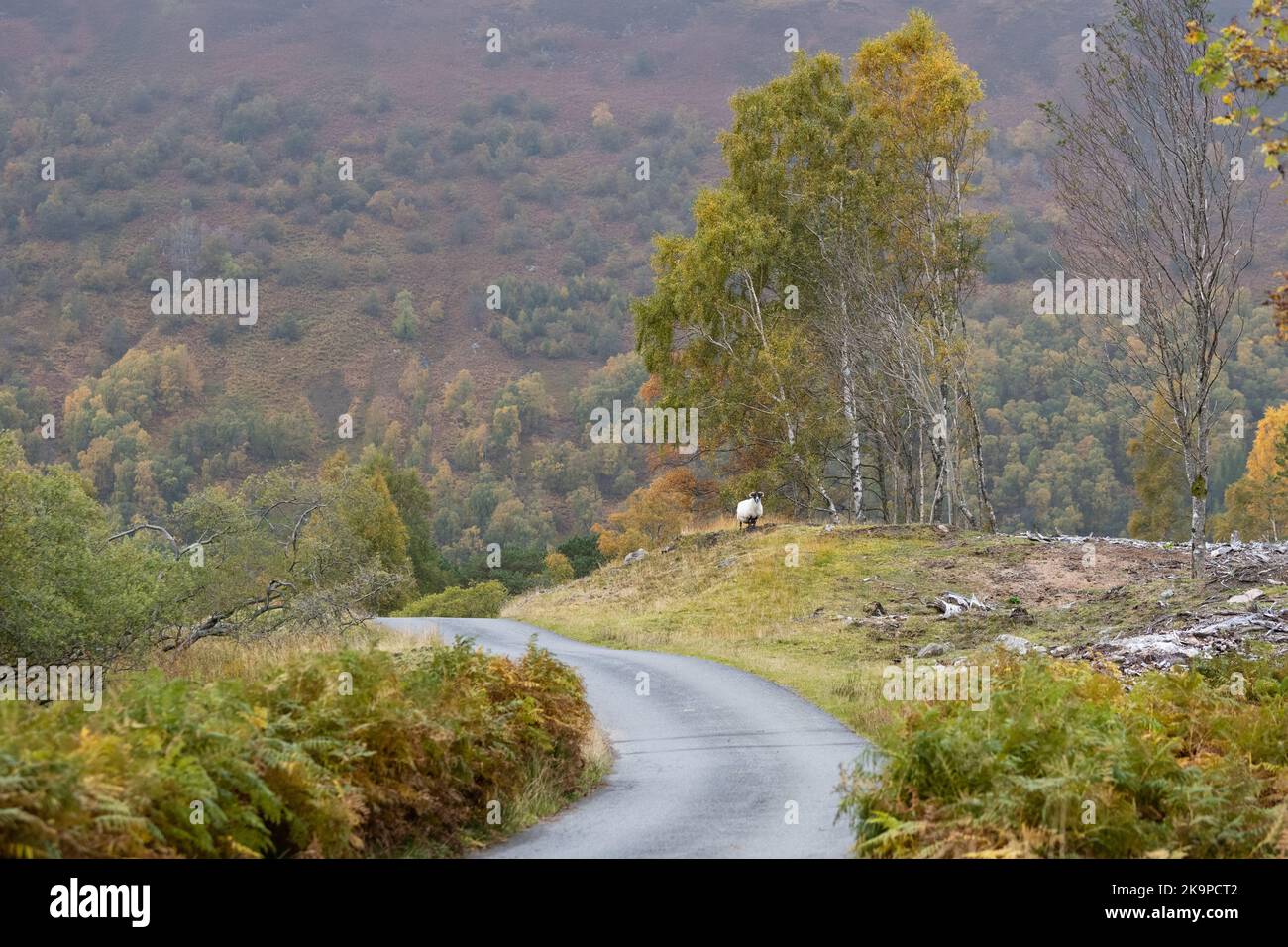 Glen Lyon im Herbst - Breadalbane, Perthshire, Schottland, Großbritannien Stockfoto