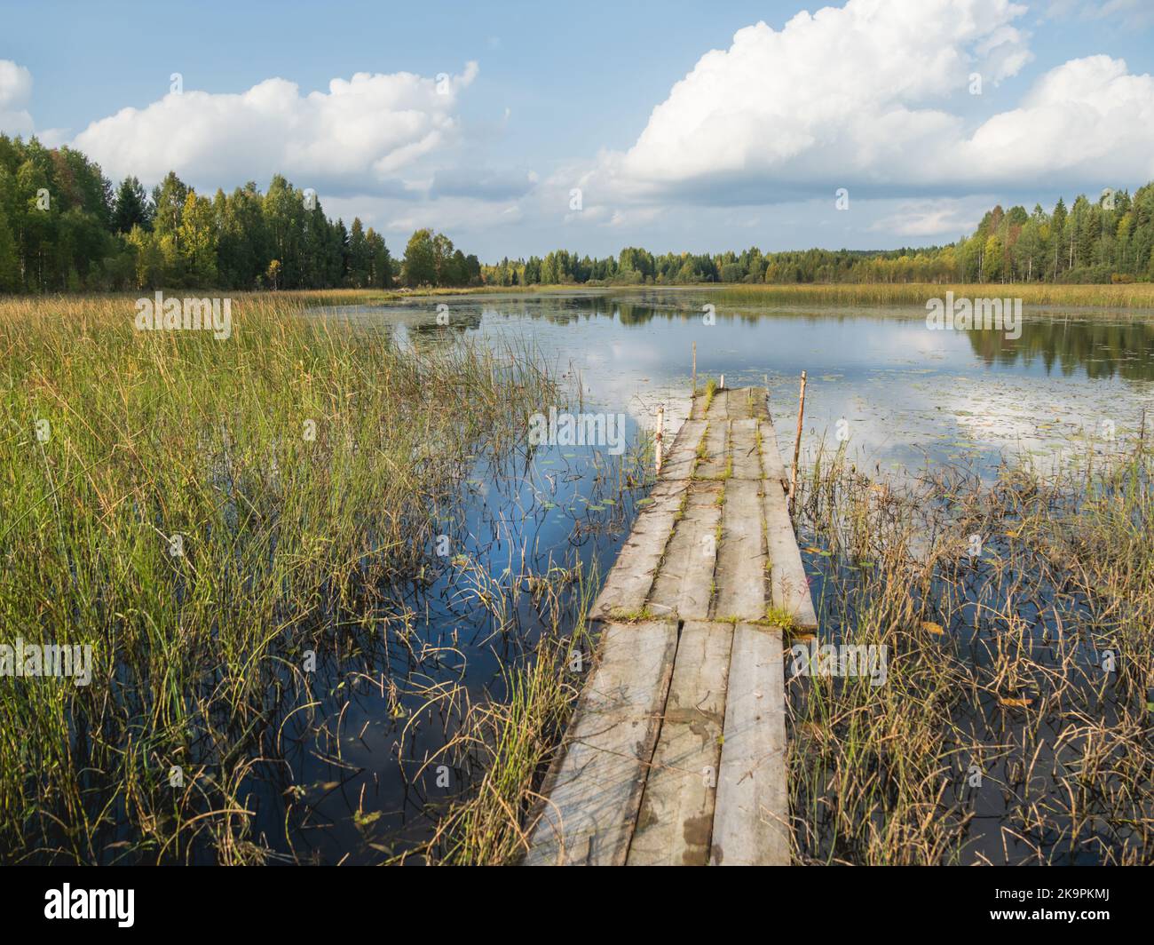 Hölzerne Anlegestelle für Boote auf dem Lake Kenozero. Wunderschöne Landschaft mit klarem Wasser und herbstlicher Natur. Russland. Stockfoto