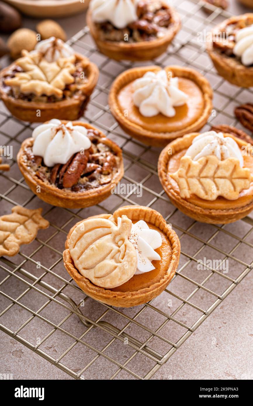 Mini-Kürbis- und Pekannüssen in Muffin-Form gebacken Stockfoto