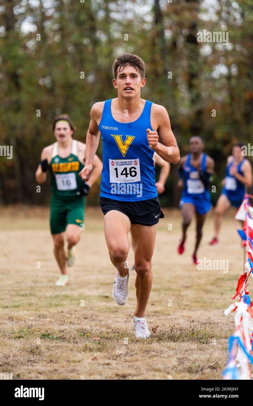 Abbotsford, Kanada. 29. Oktober 2022. Daniel Damian von Victoria Vikes tritt beim Herrenrennen bei den Canada West Cross Country Championships 2022 an. Quelle: Zhengmu Wang/Alamy Live News Stockfoto