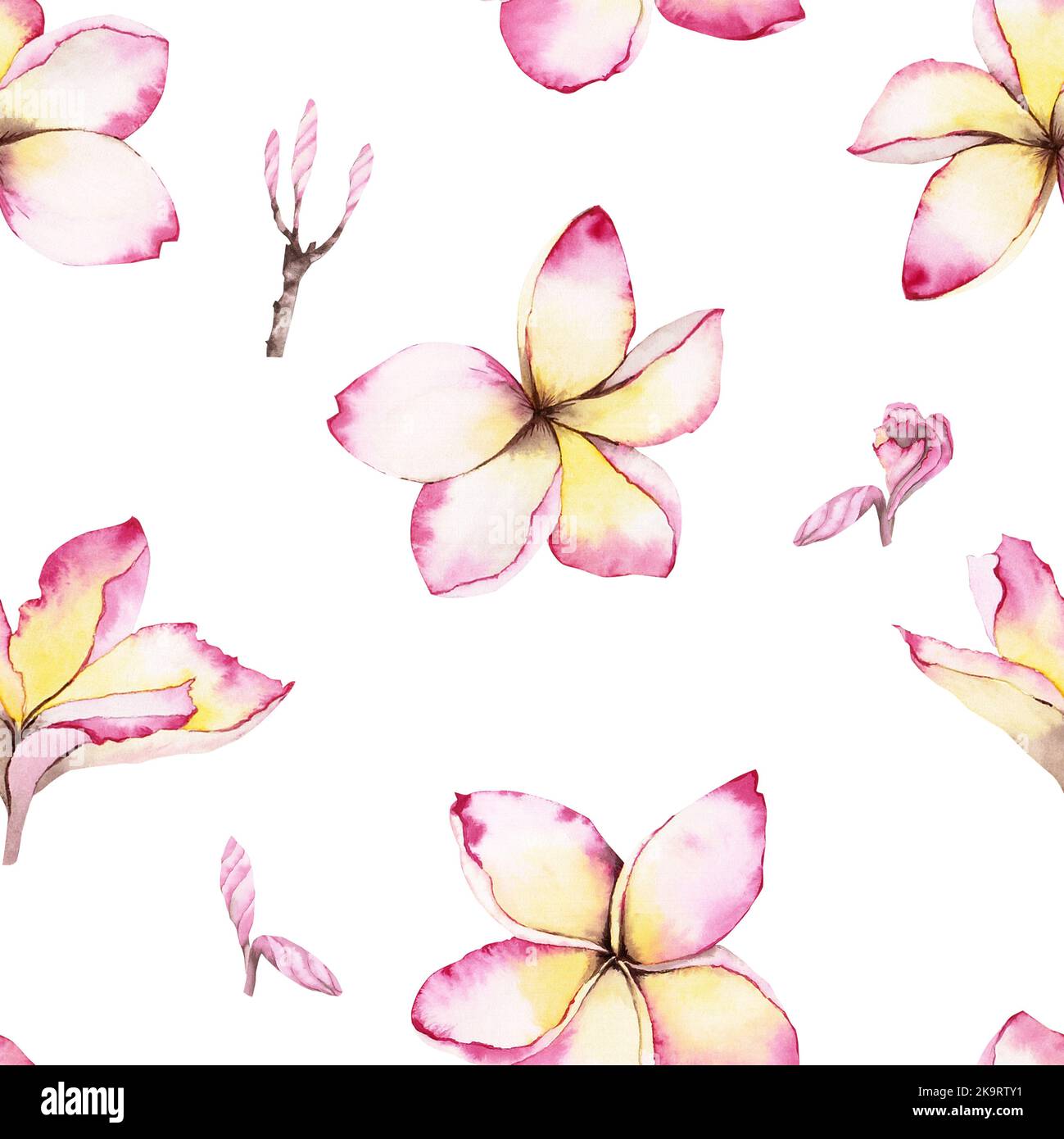 Rosa Plumeria Blumen auch als Frangipani bekannt. Filigranes, abstraktes Aquarell-Nahtloses Muster. Für Hintergründe, Geschenkpapier, Druckdesigns Stockfoto
