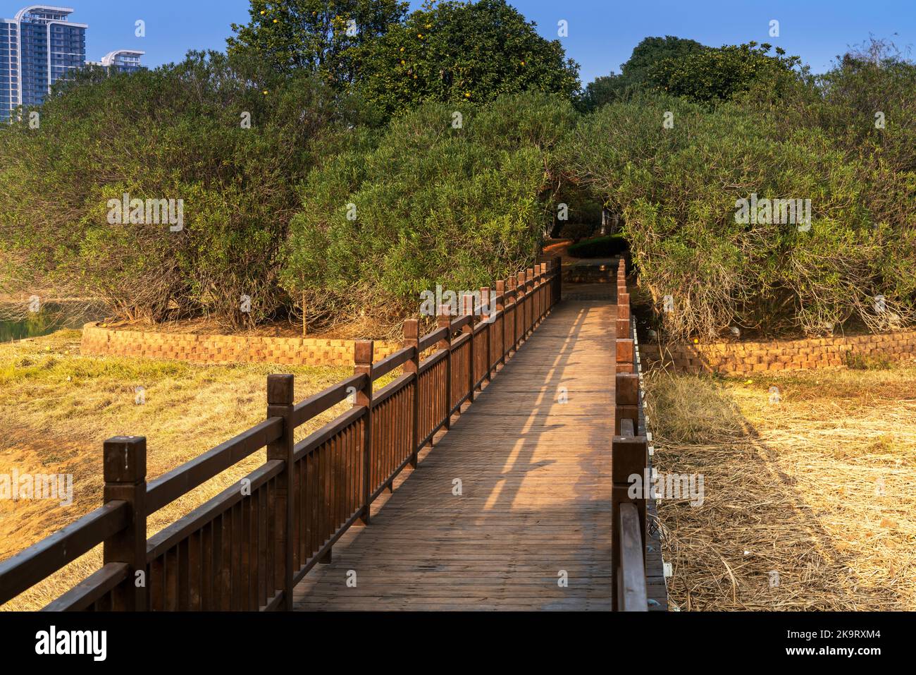 Holzbrücke über kleinen Fluss im Stadtpark Stockfoto