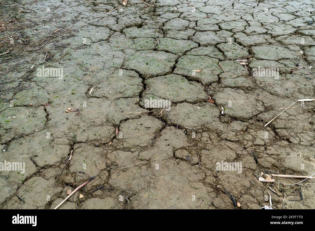 Trockene Risse im Land, schwere Wasserknappheit Stockfoto