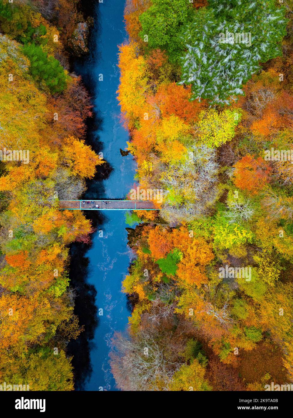 Luftaufnahme der spätherbstlichen Farben in Bäumen am Fluss Garry in der Nähe von Killiecrankie, Schottland Stockfoto