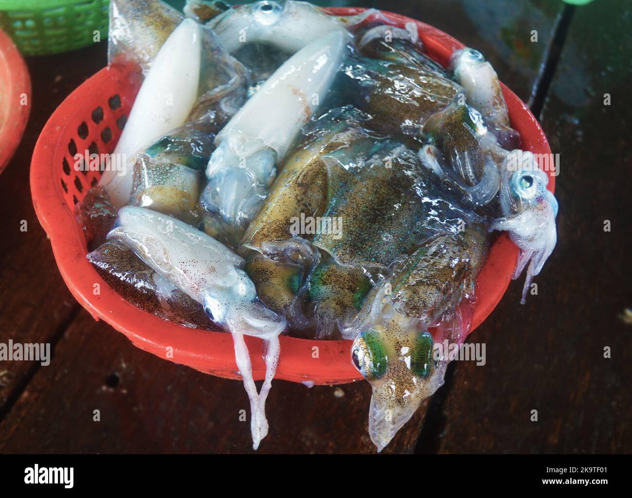 Frisch gefangener Tintenfisch in einem Korb auf einem schwimmenden Fischmarkt und Restaurant auf der Insel Binh Hung, Vietnam Stockfoto
