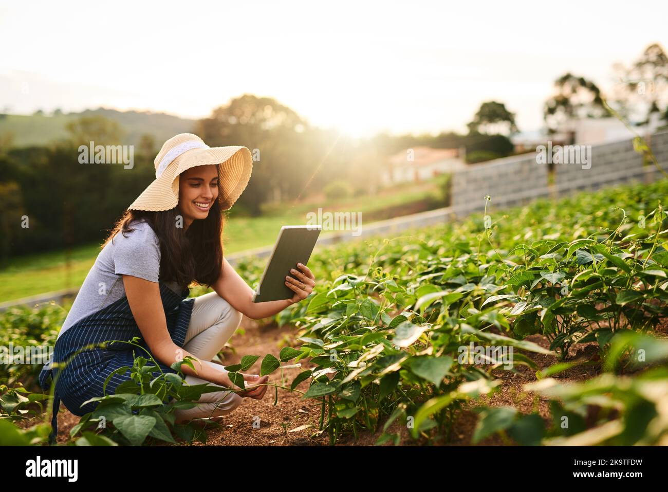 Eine attraktive junge Frau, die auf ihrem Bauernhof mit einem Tablet arbeitet. Stockfoto