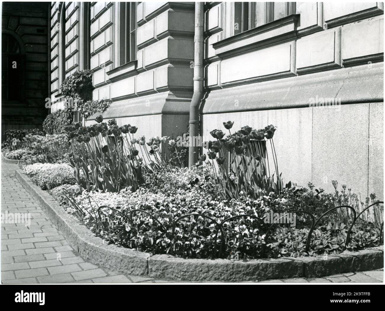 Bepflanzung am Stockholmer Hauptbahnhof. Stockfoto
