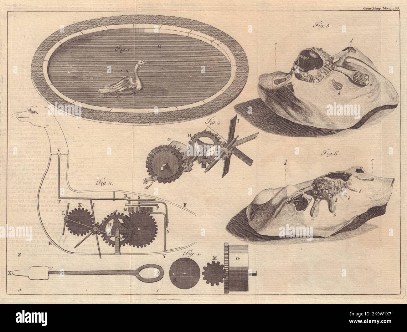 Künstlicher Schwan mit seinem Mechanismus. Fossiler Echinus gefunden in Gravesend, Kent 1766 Stockfoto