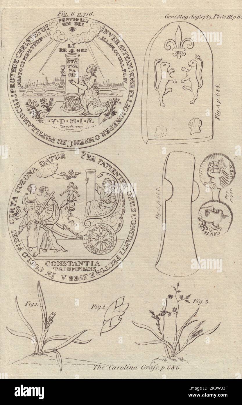 Messing-Kelten-Löwen-Fleur-de-LIS-Coppgrove. Harrogate. Scipio Africanus 1789 Druck Stockfoto