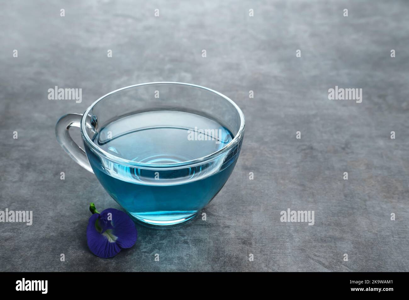 Teh Telang, Schmetterlingsblütentee oder Blauer Tee ist Kräutertee, der aus dem Kraut oder der Infusion der Clitoria ternatea Pflanzenblume hergestellt wird. Selektiver Fokus. Stockfoto