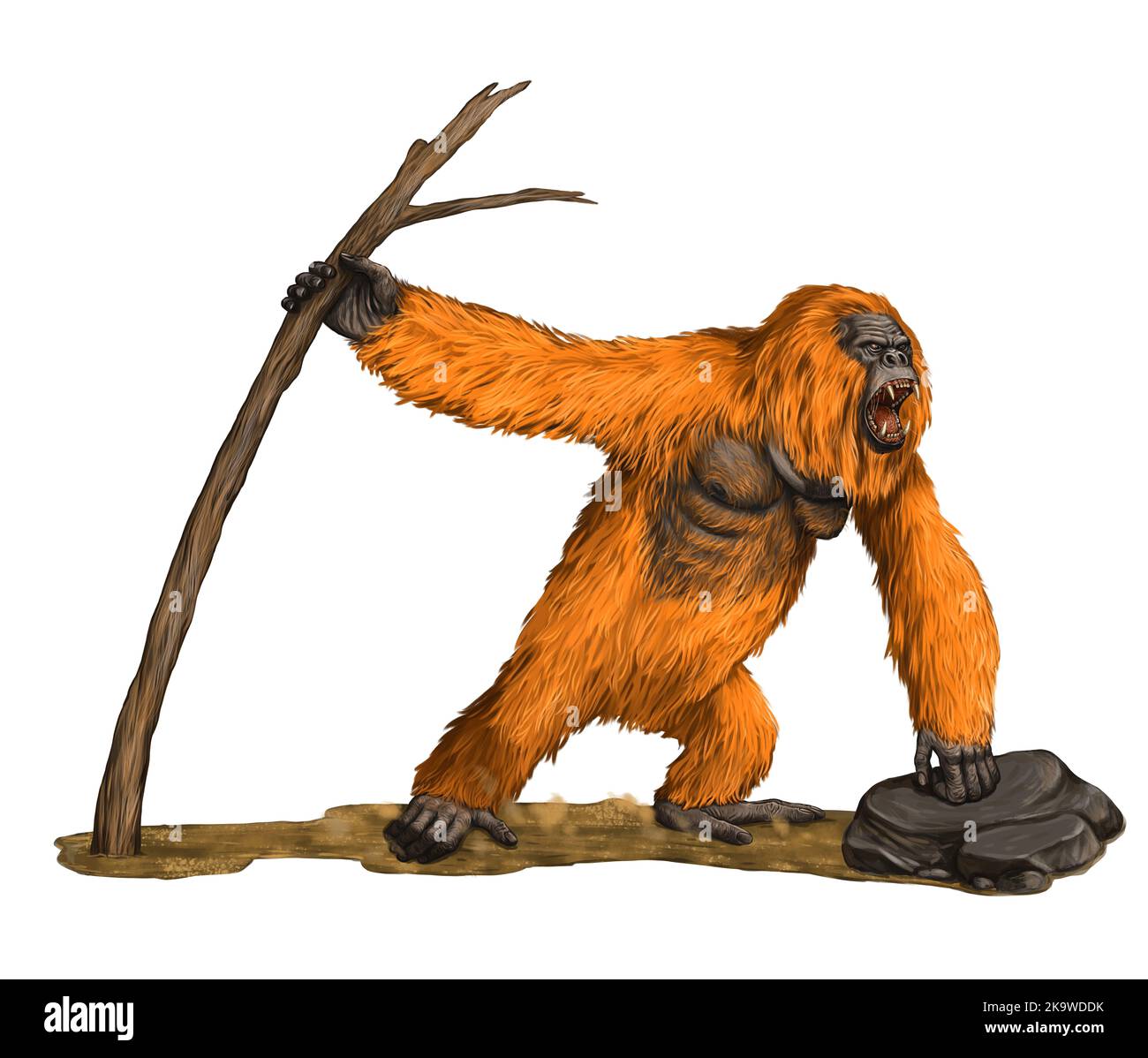 Prähistorische Primaten gigantopithecus. Riesiger OrangUtan