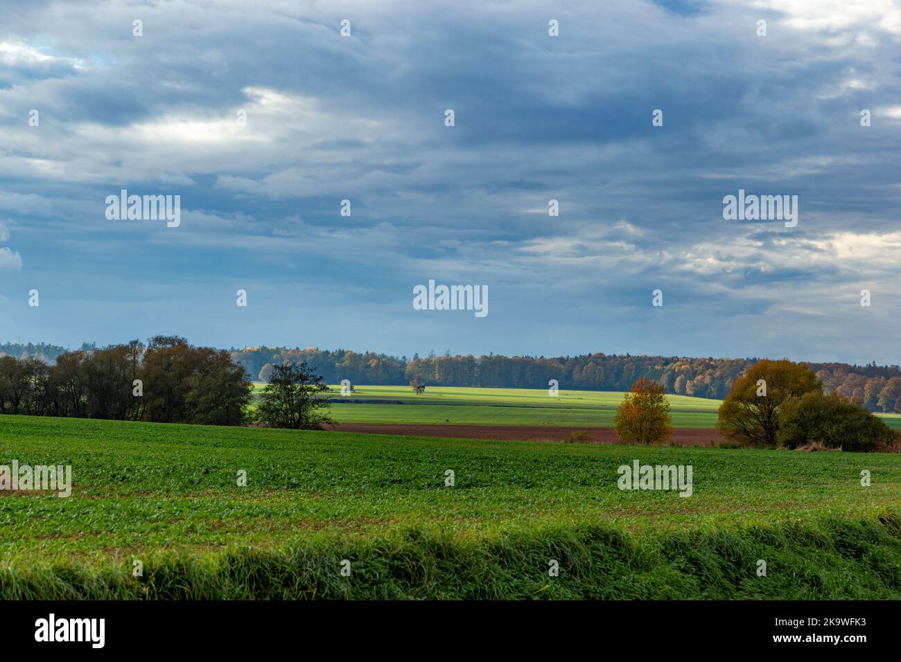 Ländliche Landschaft bei bewölktem, herbstlichem Wetter. Felder und Wälder. Spätherbst. Europa. Stockfoto