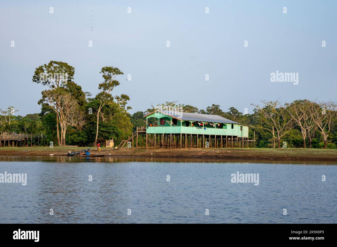 Haus entlang des Amazonas-Flusses hoch über dem Wasser gebaut, um saisonale Überschwemmungen zu bekämpfen. Itacoatiara, Amazonas, Brasilien. Stockfoto