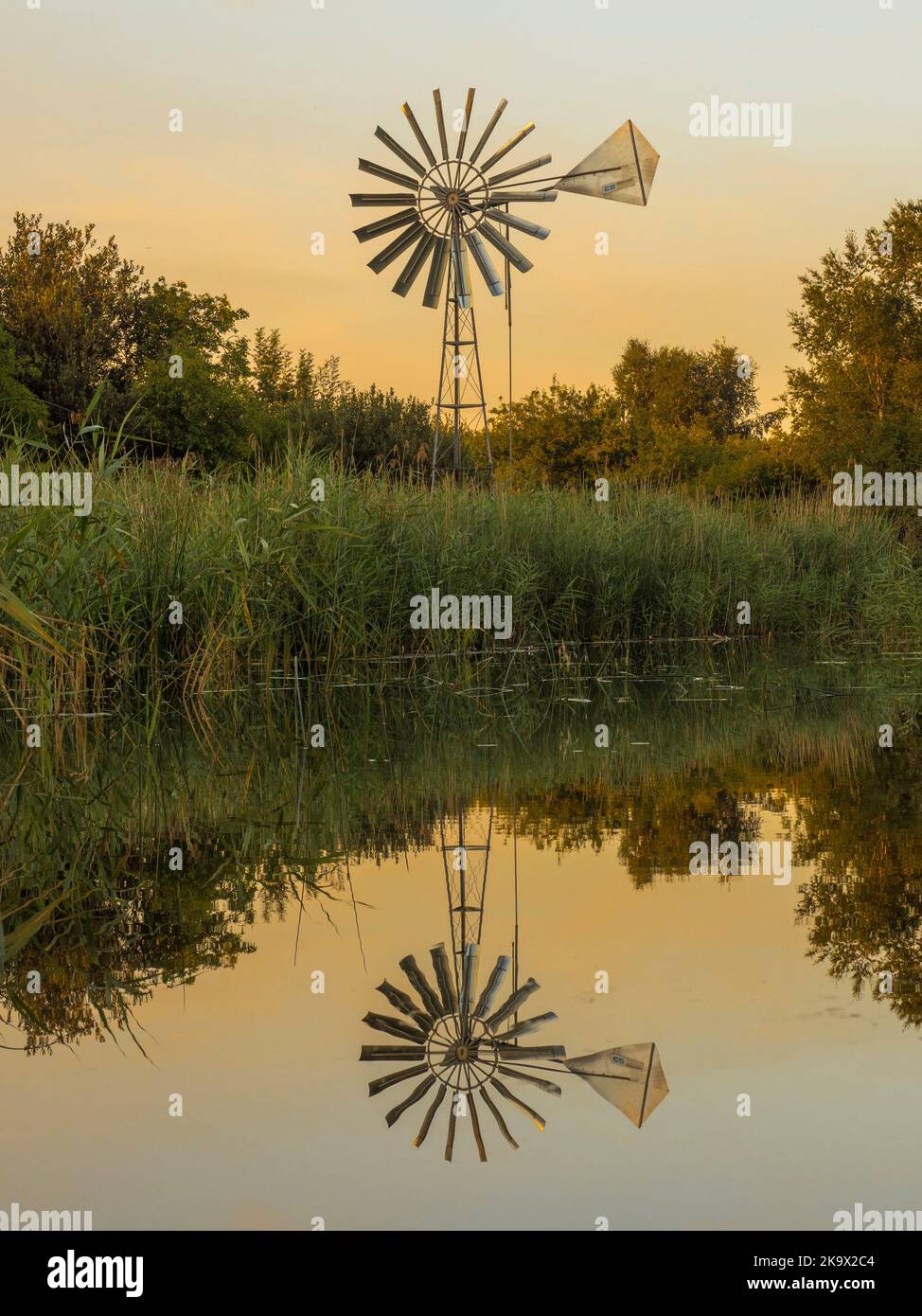 Moderne Windpumpe und Reflektion in Wicken Lode, Wicken, Cambridgeshire Stockfoto