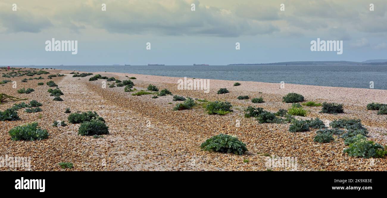Der Eingang zum Hafen Langstone, Hayling Island, mit Blick über den Kanal nach Portsea Island. Stockfoto