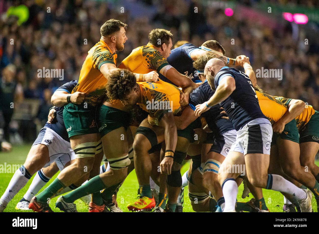 Schottland Oktober 29. : Match Action während des Rugby Union Autumn Internationals Spiels zwischen Australien und Schottland im BT Murrayfield Stadium Schottland 29.. Oktober 2022 Australien 16: Schottland 15 Stockfoto