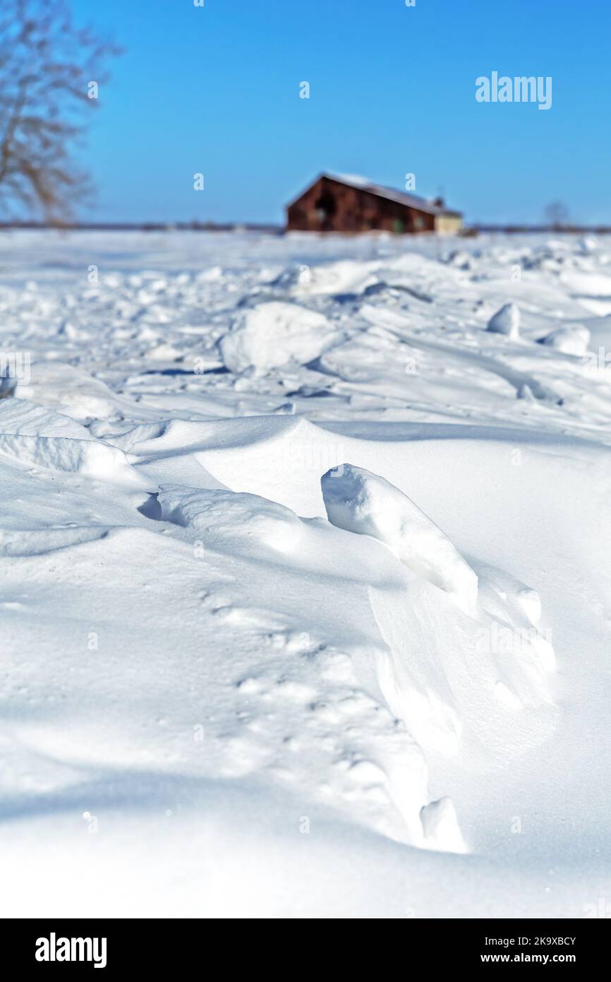 Konzentrieren Sie sich auf Schneeverwehungen mit verschwommenen ländlichen Gebäuden im Hintergrund und einem blauen Himmel. Winterlandschaft in der Provinz Quebec, Kanada. Stockfoto
