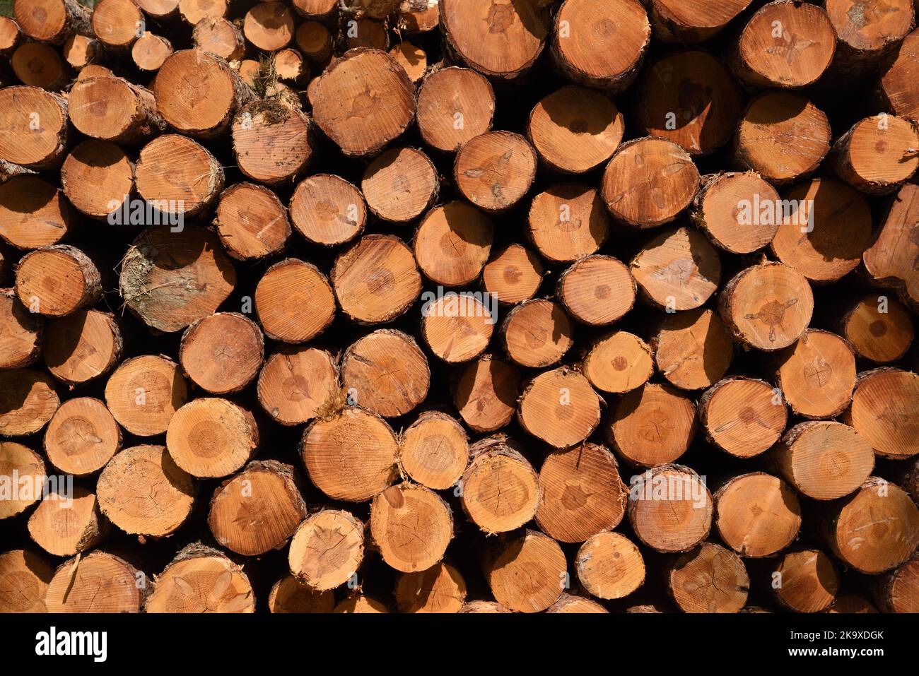 Schnittholz oder gestapeltes Holz aufgeschichtet bereit für die Verarbeitung oder Lieferung an den Holzhof in den französischen Alpen Frankreich Stockfoto