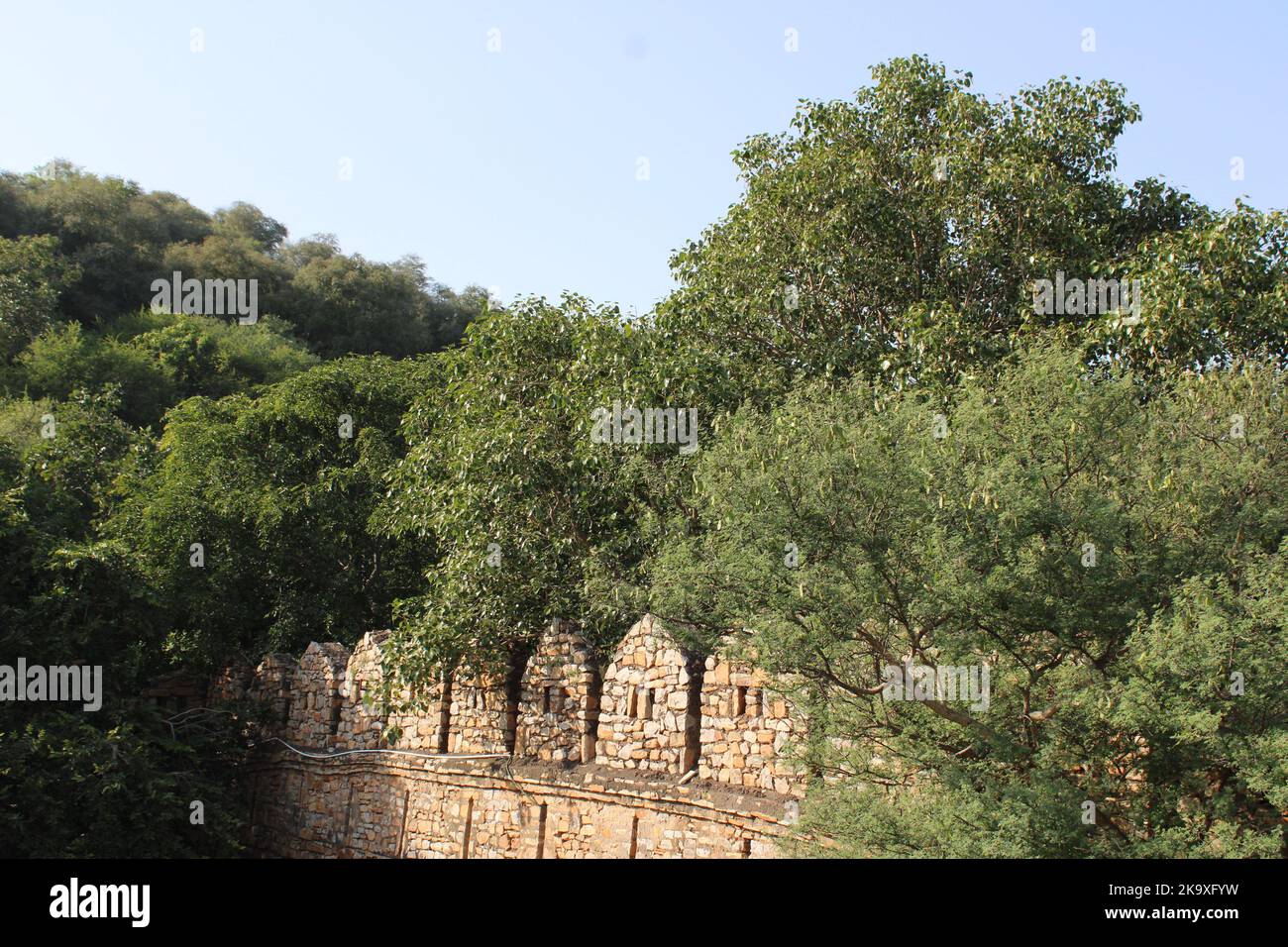 Die Amber Fort wurden ursprünglich von Raja man Singh gebaut. Jai Singh Ich erweiterte es. Verbesserungen und Ergänzungen wurden nacheinander Lineale im Laufe der nächsten getan Stockfoto