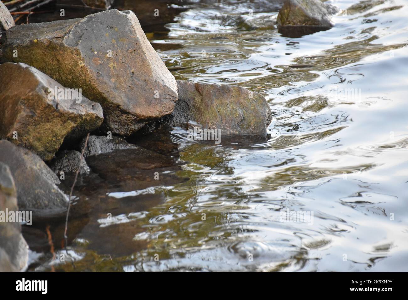 Flussufer des Main in Deutschland/Frankfurt Stockfoto