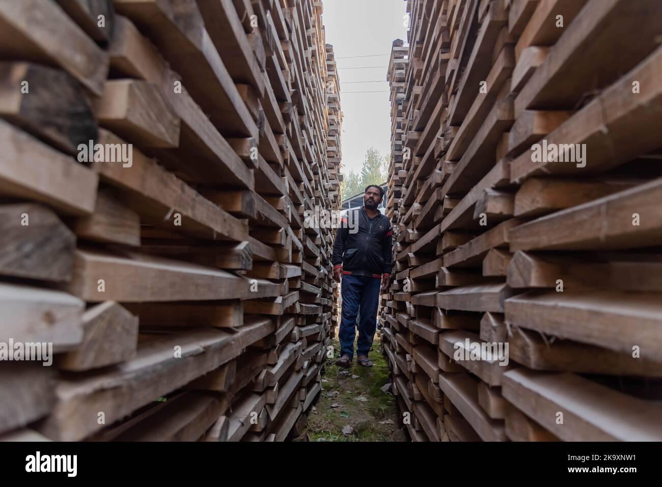 Ein Arbeiter kontrolliert einen Stapel Weidenklippen in einer Fabrik in Sangam. Seit Jahren gilt Kashmiri-Weide als dem Holz der englischen Weide, die immer noch ein nahezu Monopol über die globale Cricket-Fledermaus-Industrie besitzt, erheblich unterlegen und hat vor kurzem einen bedeutenden Ausflug in die internationale Cricket-Welt unternommen, der von einigen Spielern bei der Weltmeisterschaft T20 und der verwendet wurde Legends Cricket League. In den letzten vier Jahren haben 25 Geschäftseinheiten der Fledermausherstellungsindustrie in Halmulla und Sangam im Bijbehara-Gürtel aufgrund mangelnder Nachfrage geschlossen. (Foto von Idrees Abbas/SOPA Images/Sipa USA) Stockfoto