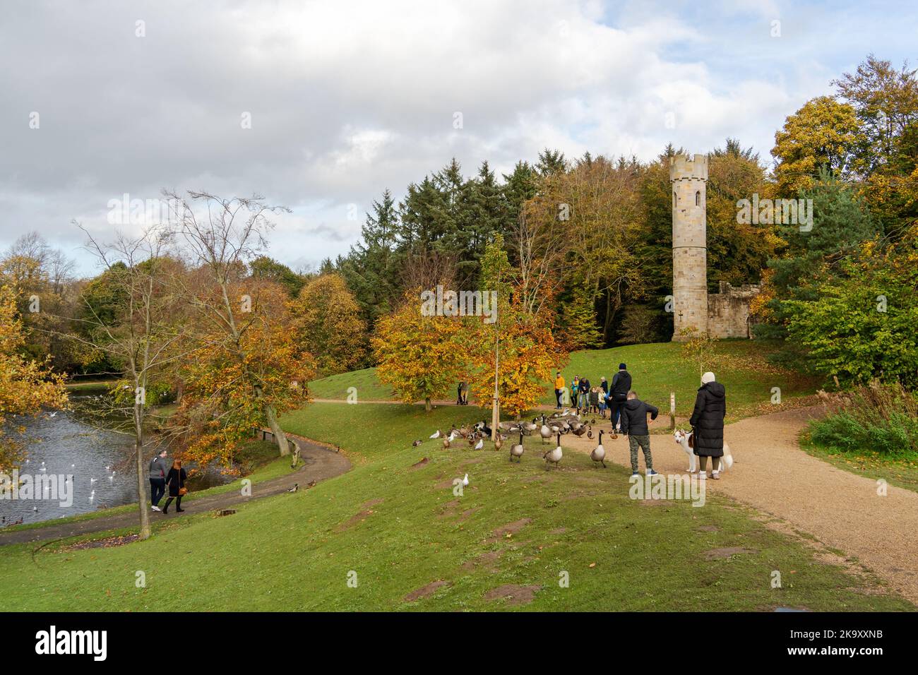 Menschen, die im Herbst oder Herbst einen Spaziergang im Hardwick Park, Sedgefield, County Durham, Großbritannien, genießen. Stockfoto