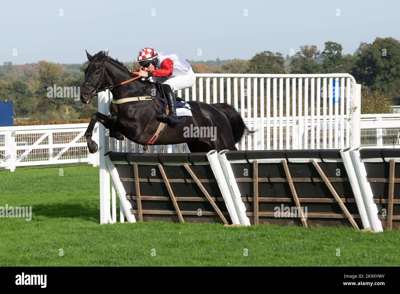 Ascot, Bergen, Großbritannien. 29.. Oktober 2022. Horse Highway One O Two unter Jockey Gavin Sheehan schafft die letzte Hürde, bevor er das Bateaux London Handicap Hurdle Race auf der Ascot Racecourse gewinnt. Pferdebesitzer Anthony Ward-Thomas. Trainer Chris Gordon, Winchester. Züchter Stephen O'Flynn. Sponsor Equestrian Fencing & Timber Ltd, Goodwin Racing Ltd. Credit: Maureen McLean/Alamy Live News Stockfoto