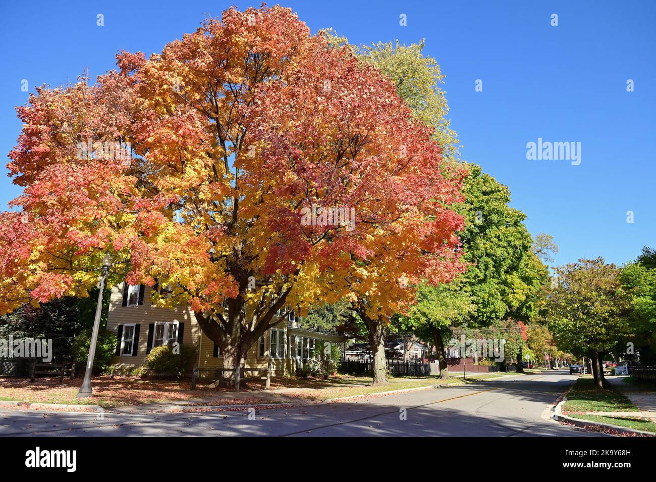 Naperville, Illinois, USA. Die Schönheit und die Farbe der Herbstsaison zeigen sich auf dem Campus des North Central College. Stockfoto