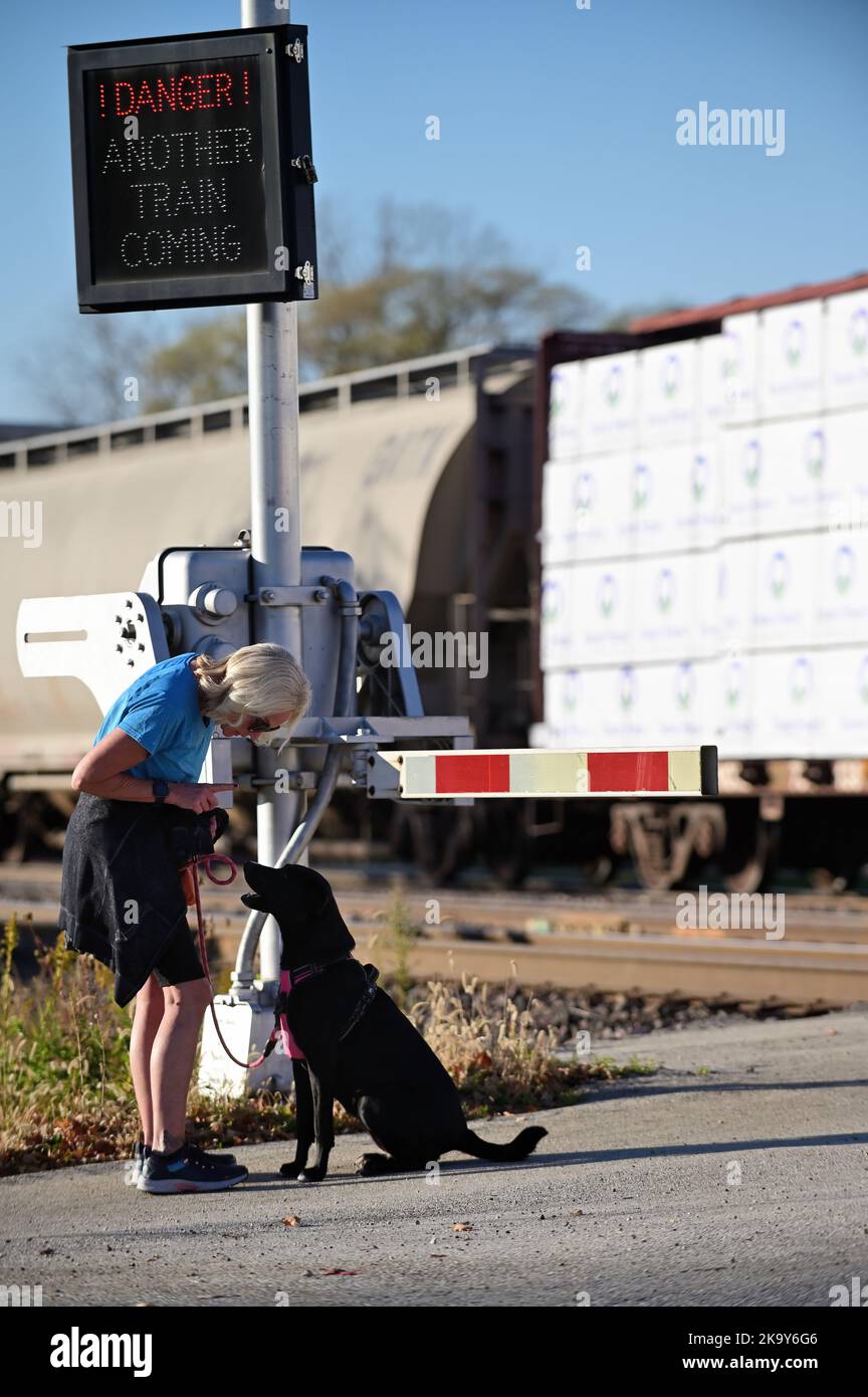 Winfield, Illinois, USA. Ein vorbeifahrender Güterzug bietet einer Frau die Möglichkeit, ihren Hund unter einem blinkenden Warnschild weiter zu trainieren. Stockfoto