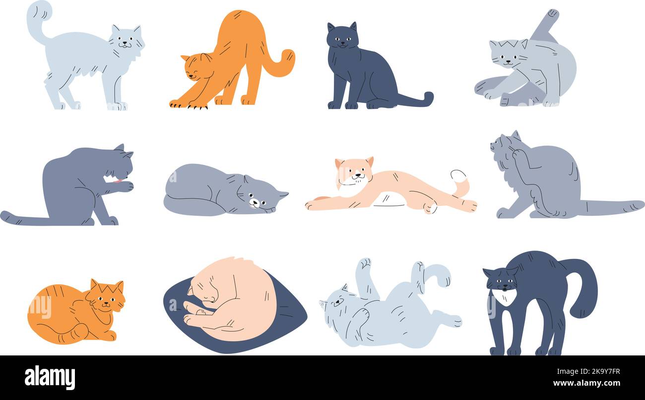Niedliche lustige Katzen Sammlung. Kätzchen Charakter schlafen, spielen und gehen. Reinrassige Katze auf dem Kissen. Cartoon Haustiere Design in verschiedenen Posen, kicky Vektor Tiere Stock Vektor