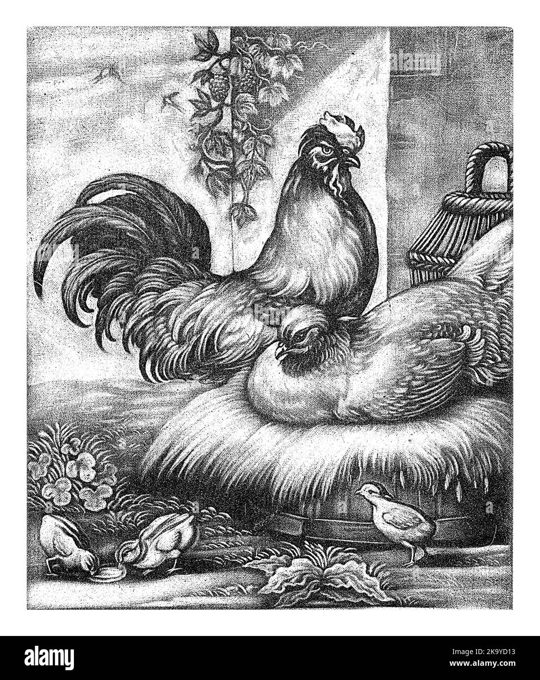 Hahn und Henne, Jan Griffier (I), 1667 - 1718 Ein Hahn und eine Henne sitzen auf einem Nest mit einigen Küken, vintage graviert. Stockfoto