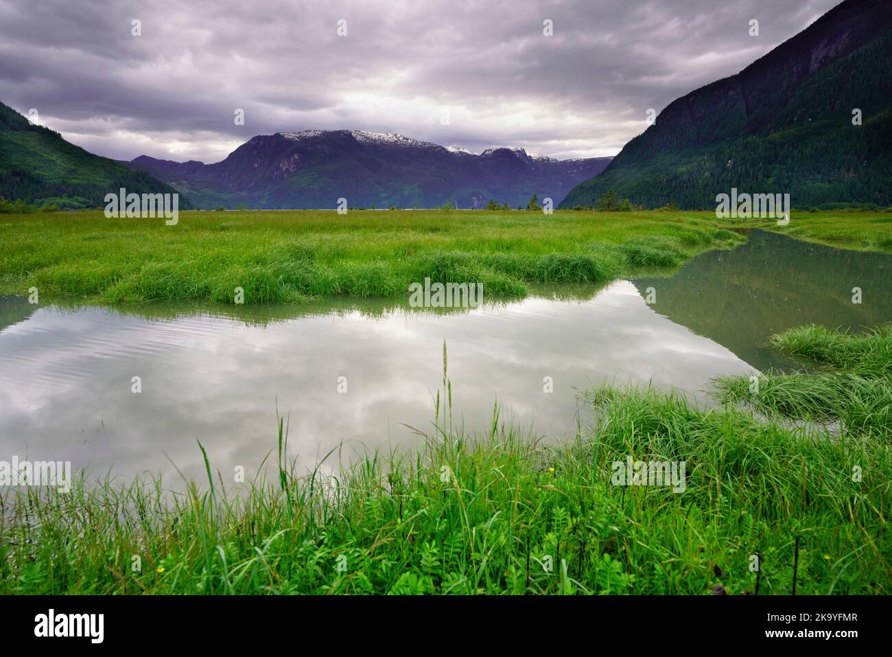 Flussufer entlang des Kingcome River Valley im Musgmagw Dzawada'enuwx Territory, First Nations Territory, British Columbia, Kanada Stockfoto