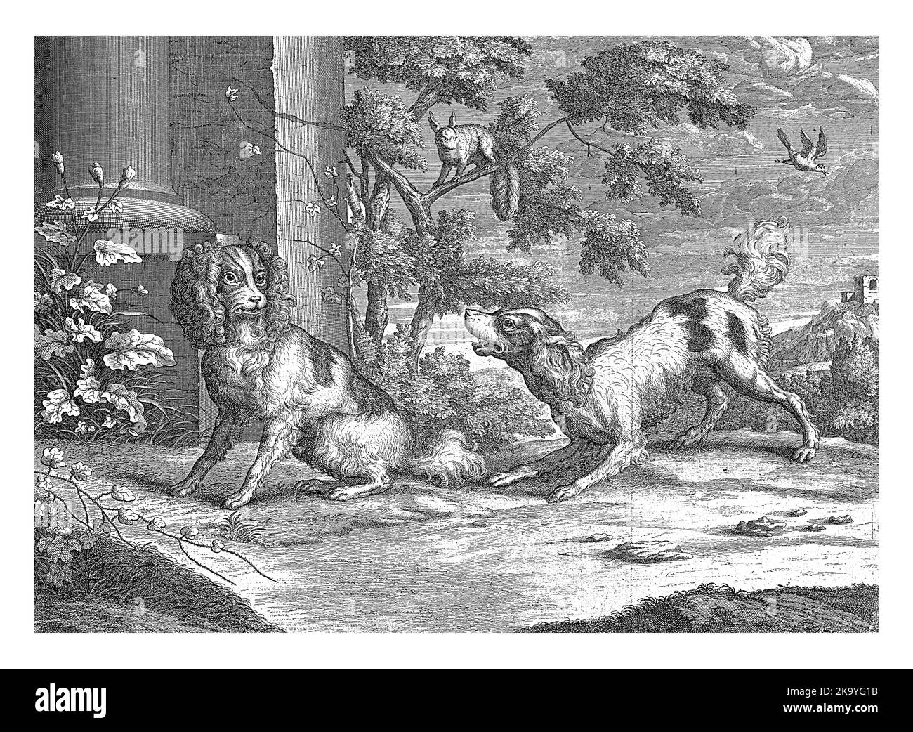 Ein sitzender Hund wird von einer Sekunde angebellt. In der Mitte sitzt ein Eichhörnchen auf einem Ast. Stockfoto