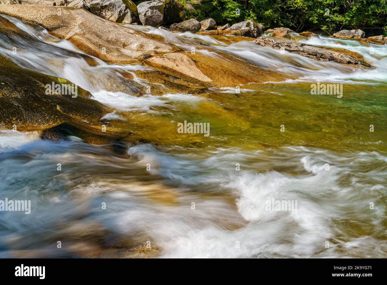 Wunderschöner, klarer Fluss, der durch den Great Bear Regenwald fließt, Kingcome Inlet, First Nations Territory, British Columbia, Kanada. Stockfoto