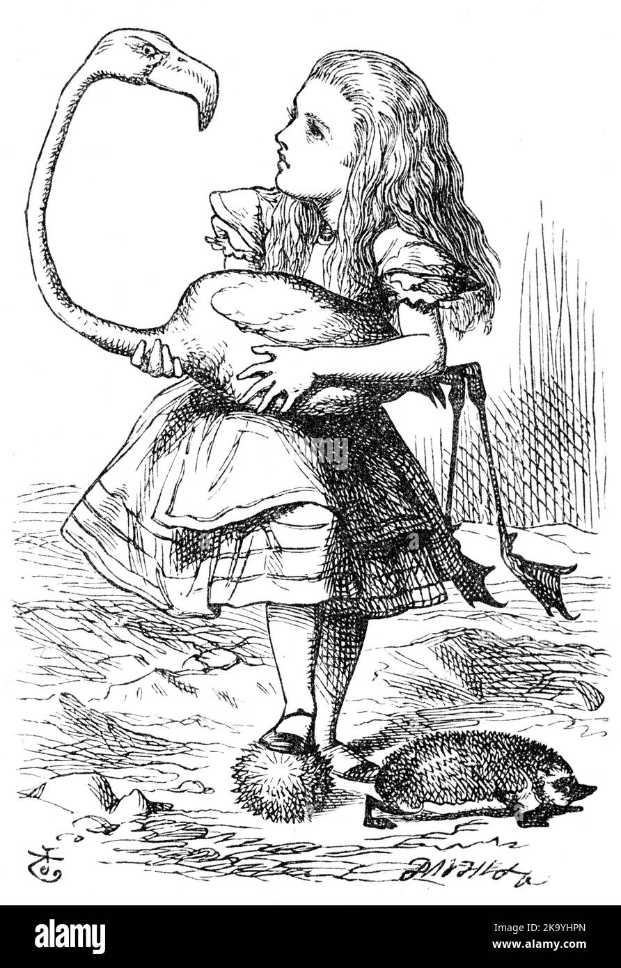 Illustration von Alice im Wunderland. „Die Hauptschwierigkeit, die Alice zuerst fand, war das Managen ihres Flamingos.“ Illustration von John Tenniel, 1865. Stockfoto
