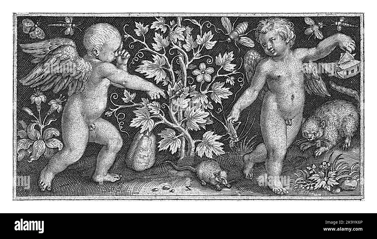 Zwei kleine Engel auf beiden Seiten einer Calabash-Pflanze, Nicolaes de Bruyn, 1594 Stockfoto