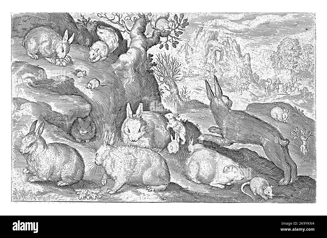 Kaninchen, Eichhörnchen, Meerschweinchen und Maus, Nicolaes de Bruyn, 1621 Stockfoto
