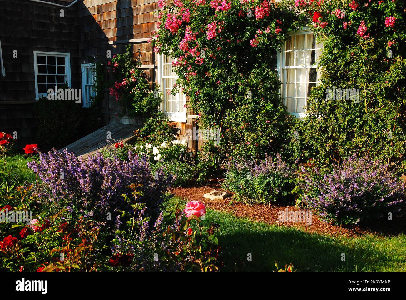 Ein Sommergarten blüht an den Rändern eines historischen Hauses in den Hamptons auf Long Island Stockfoto