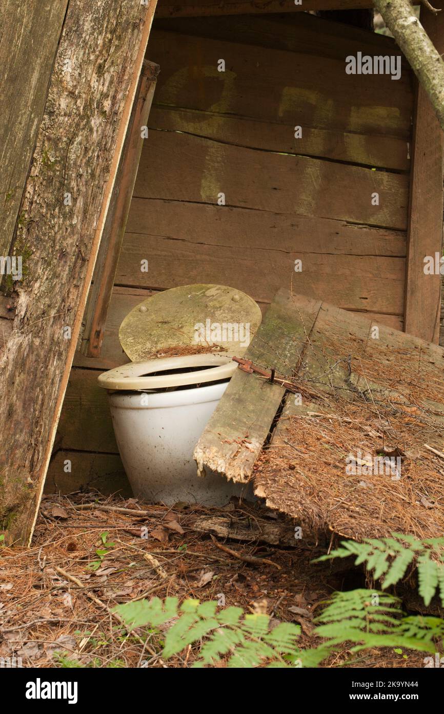 Altes verlassene hölzerne Nebengebäude im Wald. Alte Privates im Wald, umgeben von Farnen. Gebrochenes Nebengebäude mit Kiefernnadeln bedeckt. Stockfoto