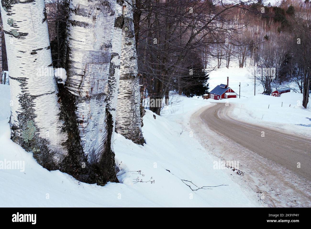 Im Winter liegt ein Ahornzucker-Haus am Ende einer kurvenreichen Straße in der ländlichen Landschaft von Vermont, Neuengland Stockfoto