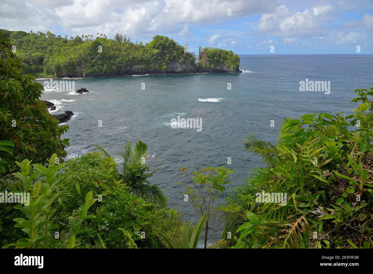 Landschaftliche Eindrücke von der magischen Landschaft und der östlichen Küste entlang des Mamalahoa Hwy in Richtung Hilo, Big Island HI Stockfoto