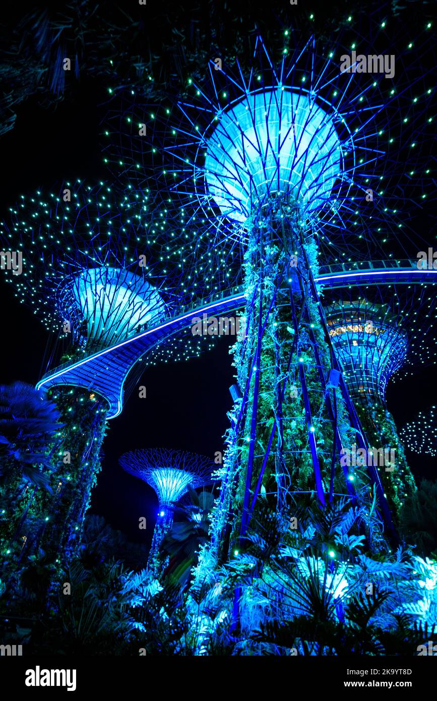 Supertree Grove bei Nacht - Gardens by the Bay, Singapur Stockfoto